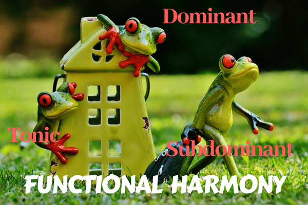 dominant subdominant tonic functions functional harmony music theory for the bass player ariane cap