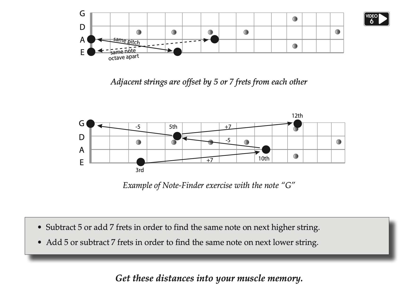 bass guitar notes Ariane Cap note finder fretboard