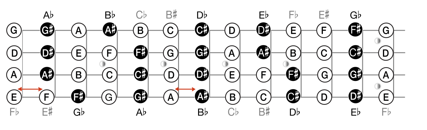 bass guitar notes Ariane Cap notefinder fretboard all notes